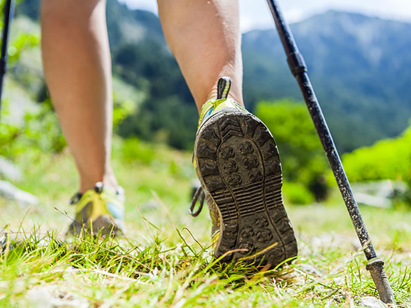 Chůze s trekingovými holemi v přírodě během skupinového cvičení Nordic Walking.